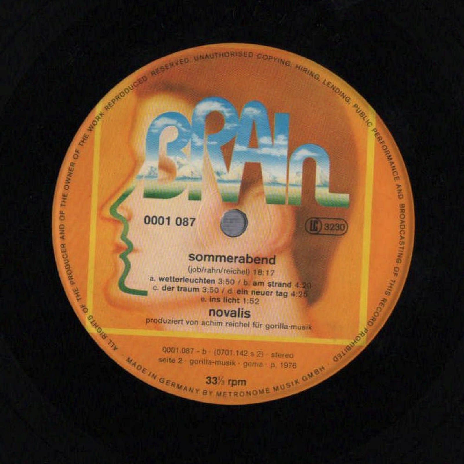 Schallplatte Bild 5